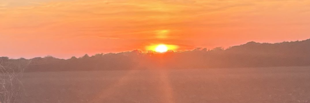 maceyyleighh's profile banner image