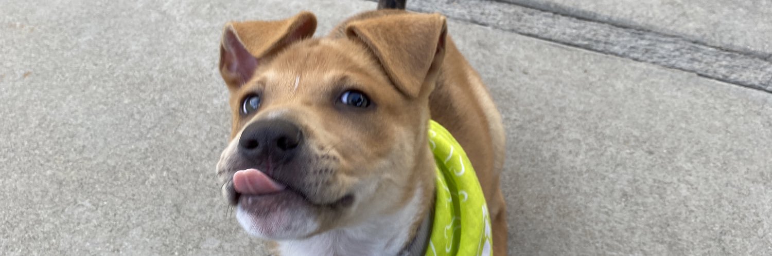 ramennn00dlez's profile banner image