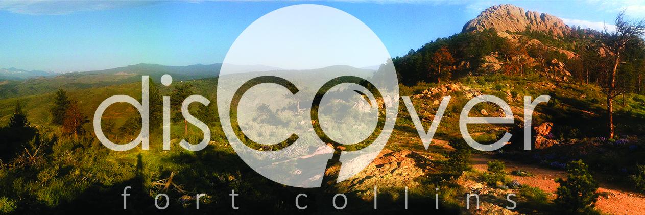 discoverftco's profile banner image