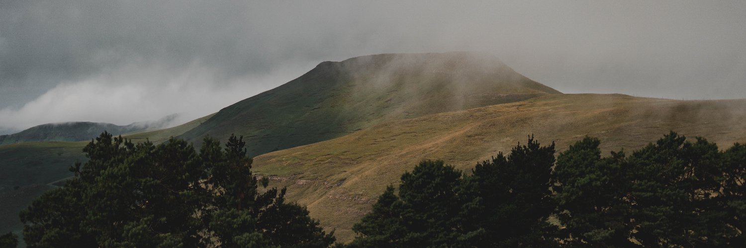 Bertus van Heerden banner