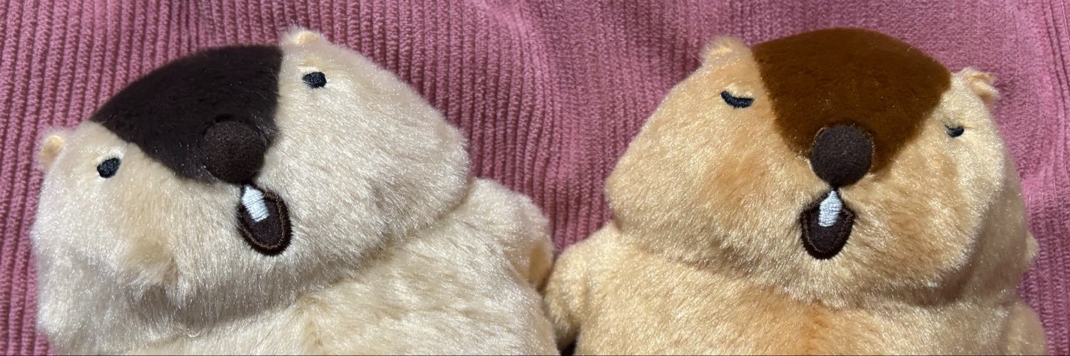 Seiko9N's profile banner image
