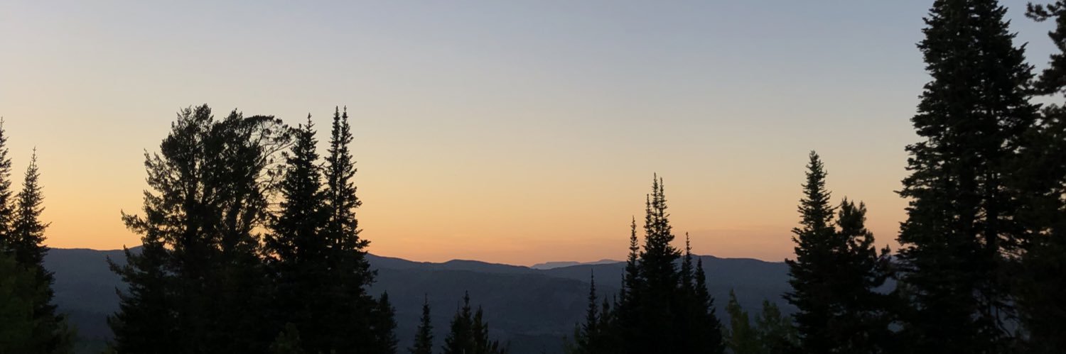 moiradillow's profile banner image
