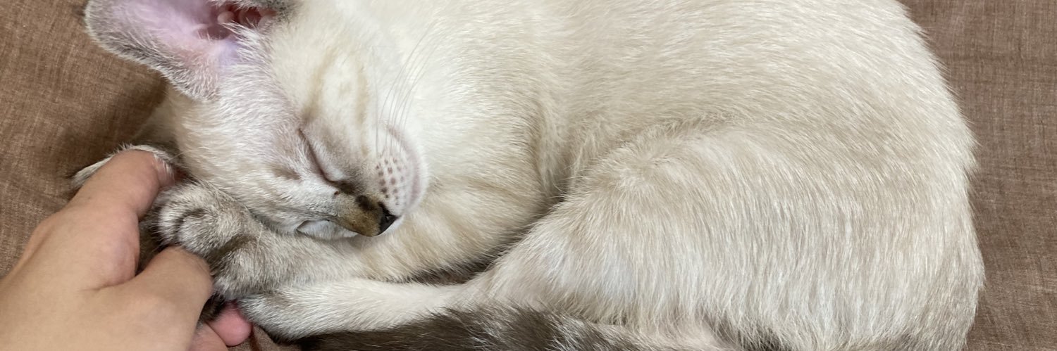 willow8749's profile banner image