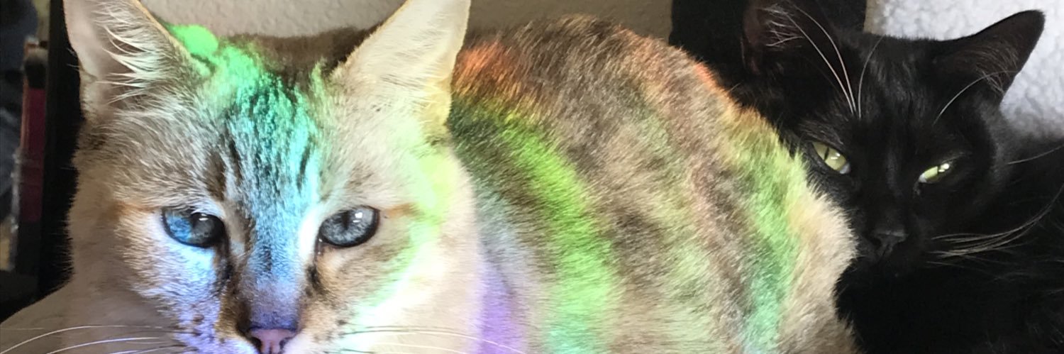 CarlBarkxr's profile banner image