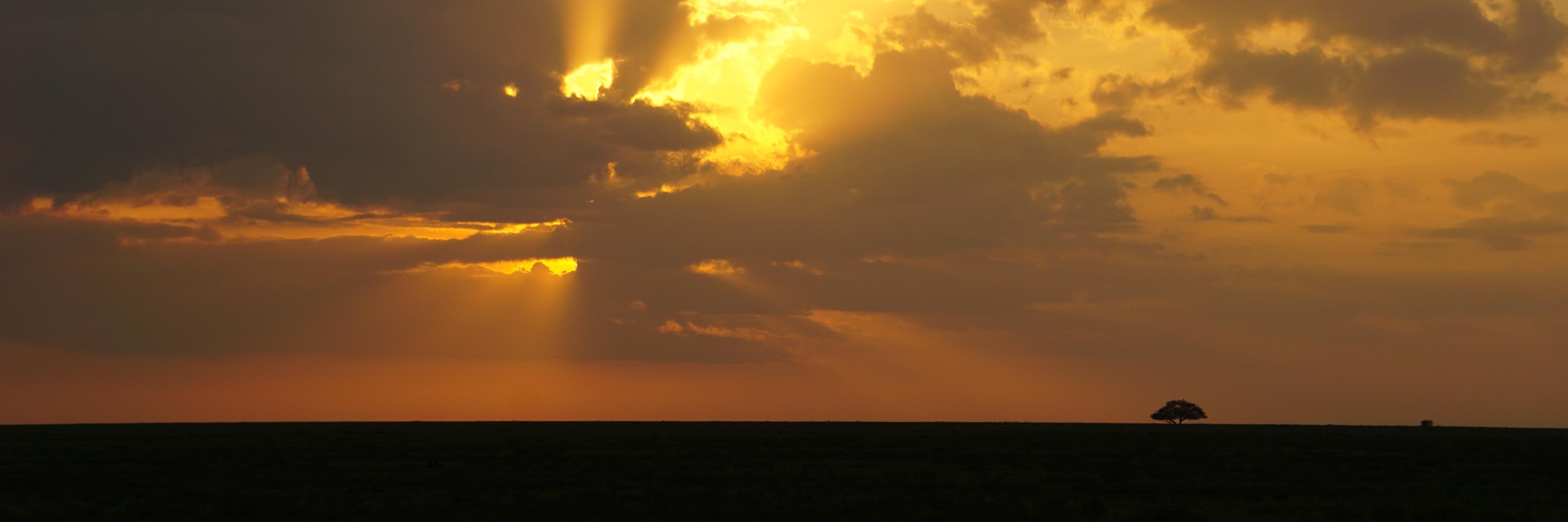 Nicke Källén banner