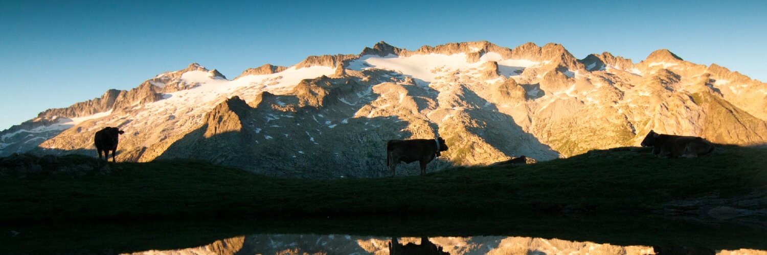 H_ParqueNatural's profile banner image