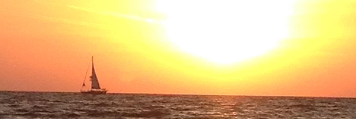 samirae1307's profile banner image