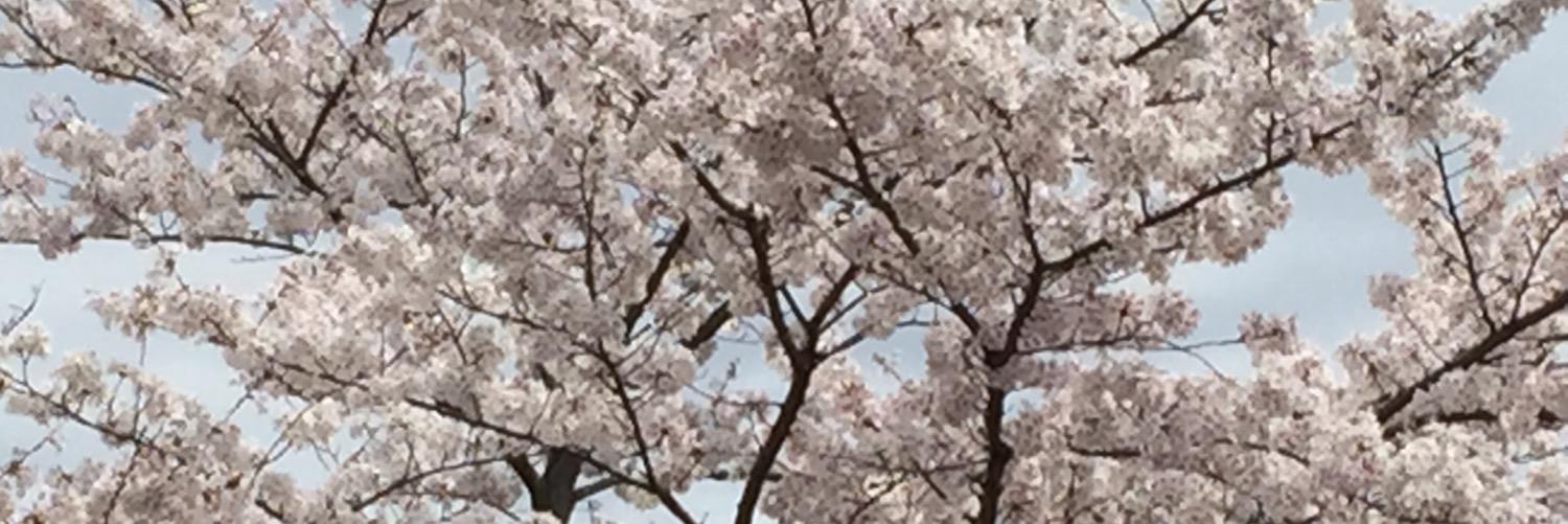 meiny427's profile banner image
