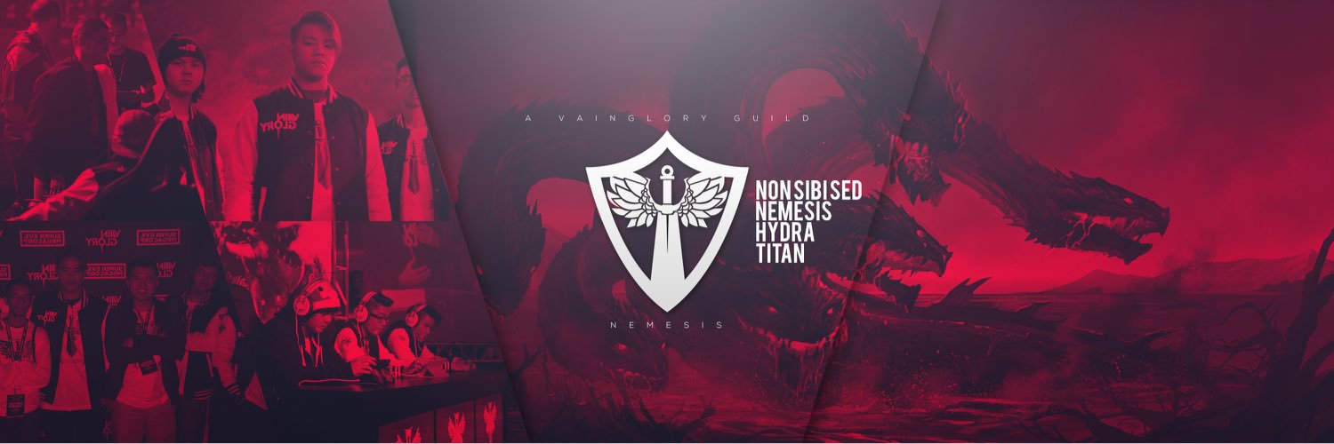Team Nemesis banner