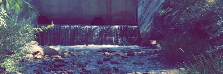 Fluffy_Jade's profile banner image