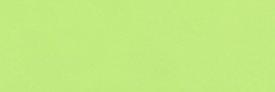 Y* banner