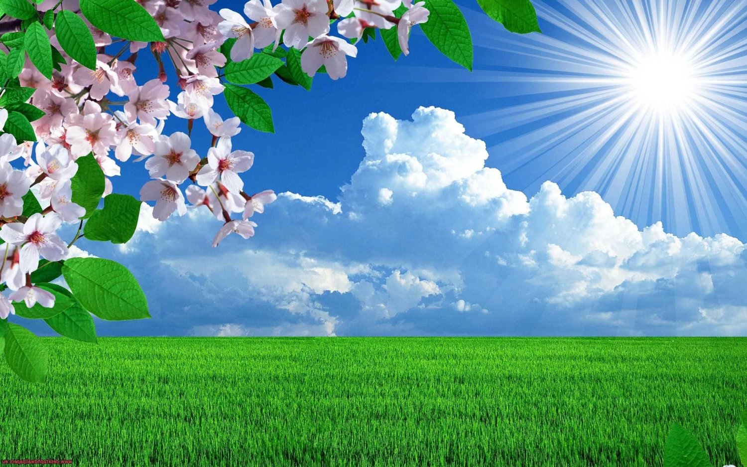 buraksarrafi's profile banner image