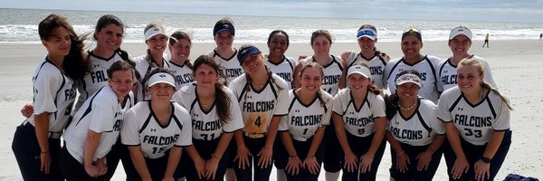 LC_LadyFalcons Profile Banner
