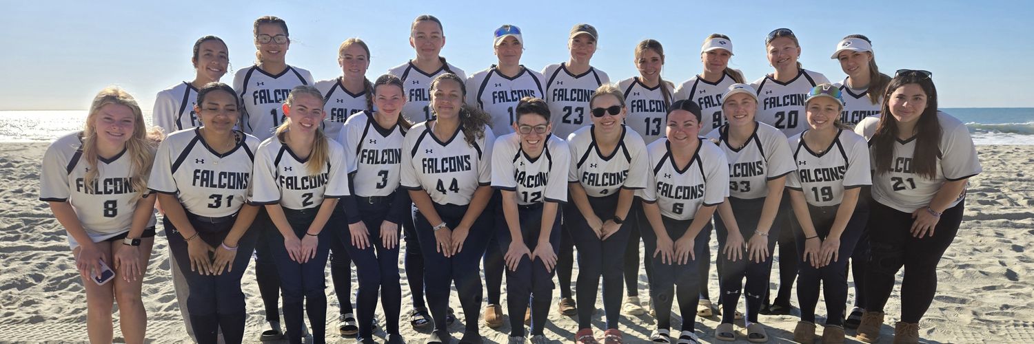 LC_LadyFalcons's profile banner image