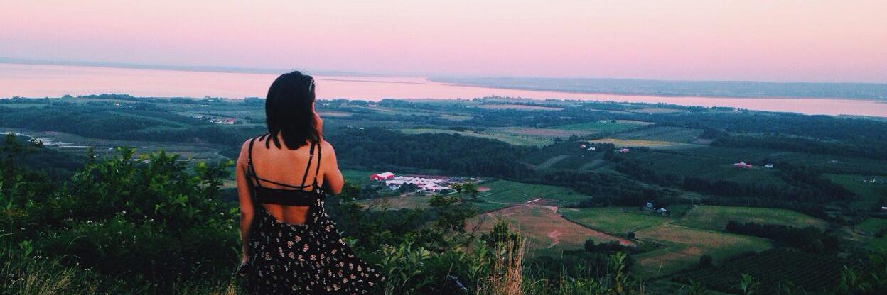 amydoucet's profile banner image