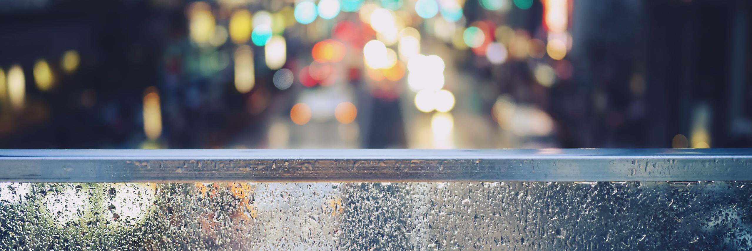 Plamen Petkov banner