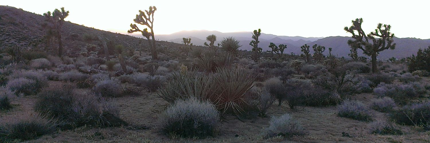 pbg619's profile banner image
