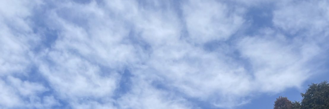 ryu_dorag's profile banner image