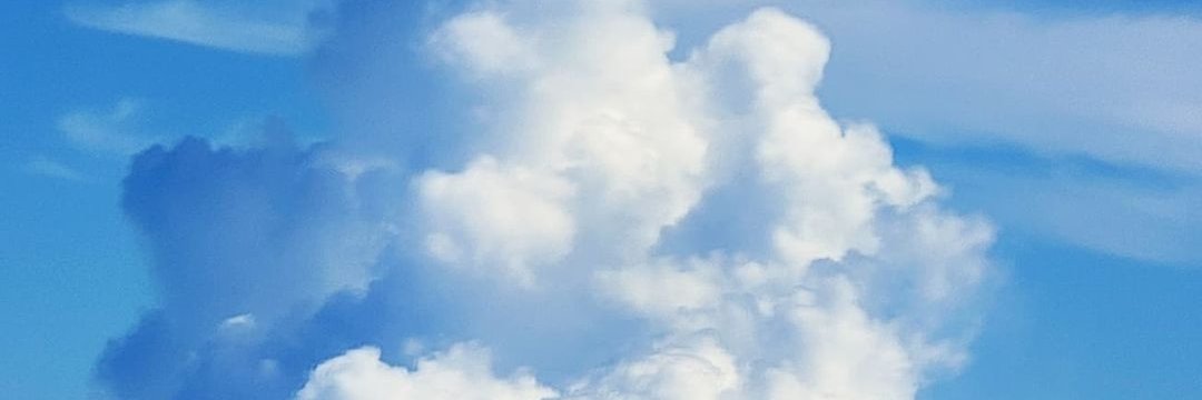 KarsonBird's profile banner image
