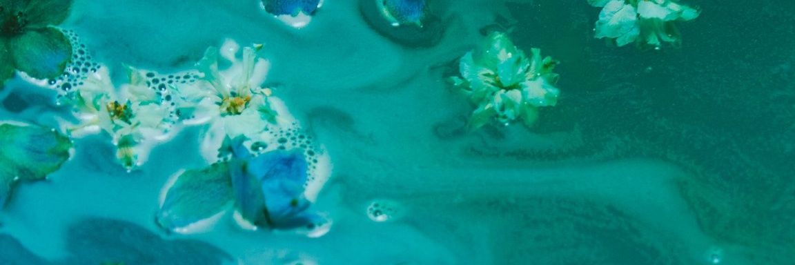 small_dream_'s profile banner image