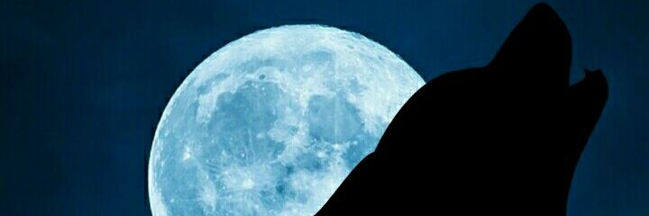 Kilonzeroh's profile banner image