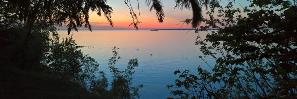 timo_est Profile Banner