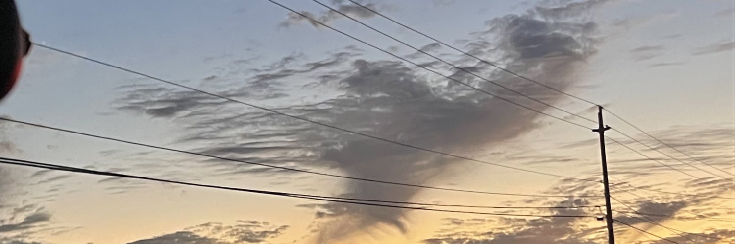 isolatesarah's profile banner image