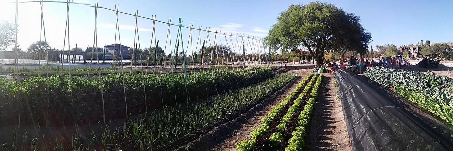 BodegaOrganica's profile banner image