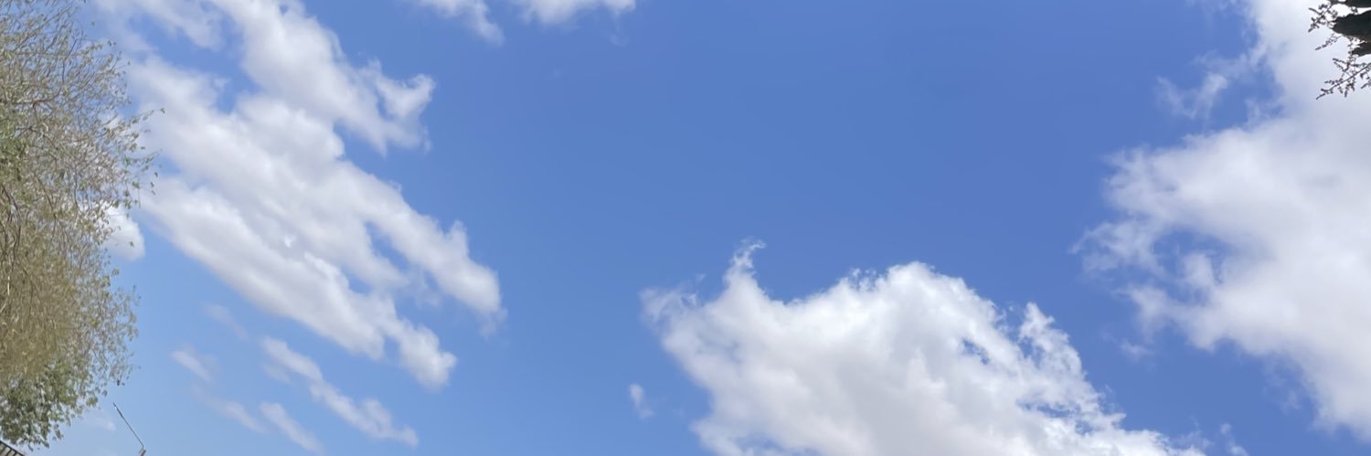 dosalinvictoria's profile banner image