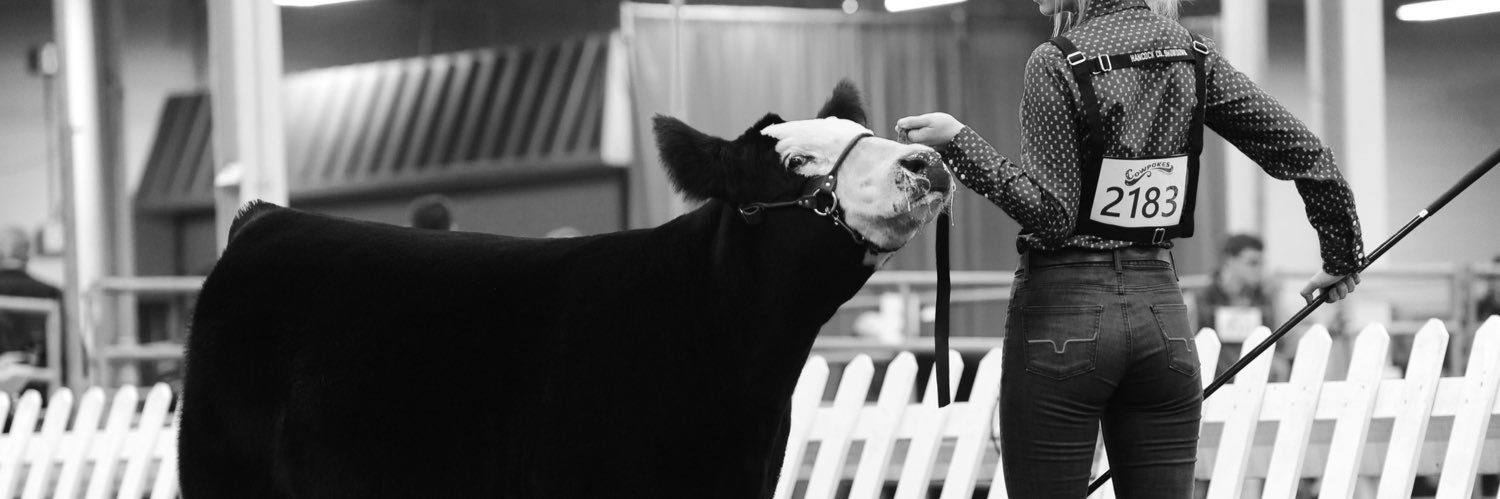 CecilyJester's profile banner image