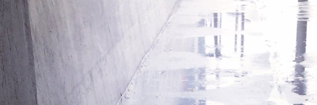 wildindigofox's profile banner image