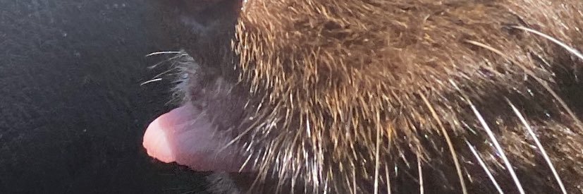 marleynsmith's profile banner image