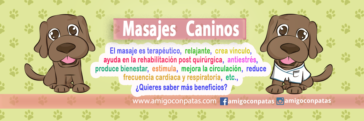 amigoconpatas's profile banner image
