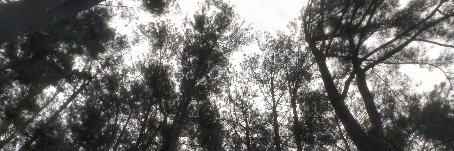 jabrix607's profile banner image