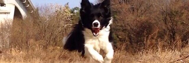 キックロック⭐️🪽🫧🧸💝⁉️❕❗️ banner