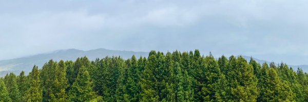 AlvaroCastr0 Profile Banner