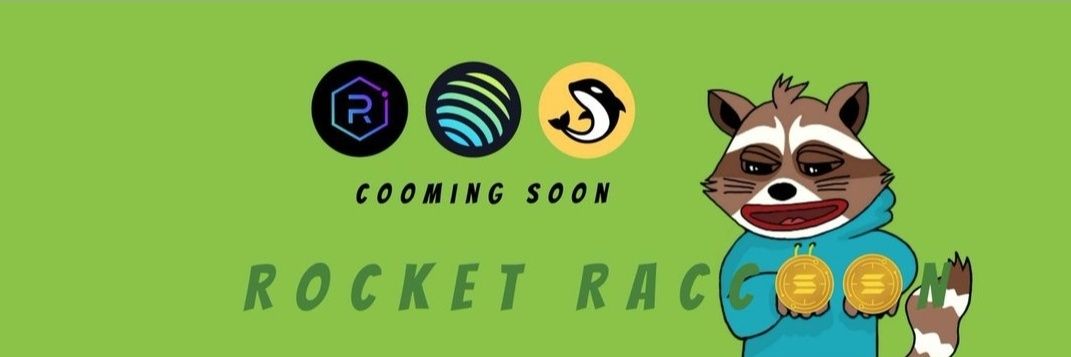 ROCKET RACCOON banner