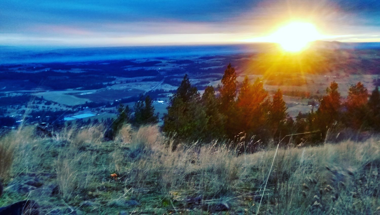 Sam_Lo97's profile banner image