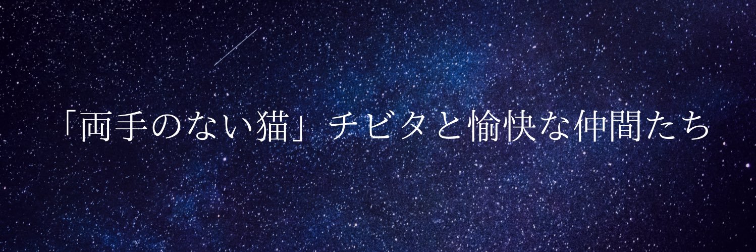 emi_cats's profile banner image