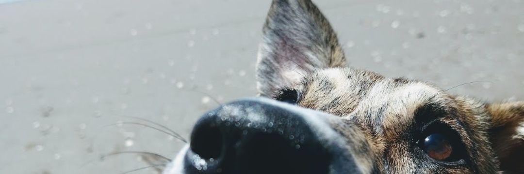 _mgioco's profile banner image