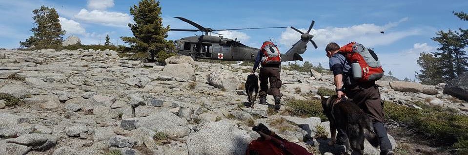 CARDA_K9's profile banner image