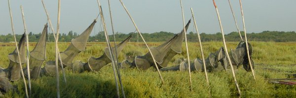 ZonesHumides Profile Banner