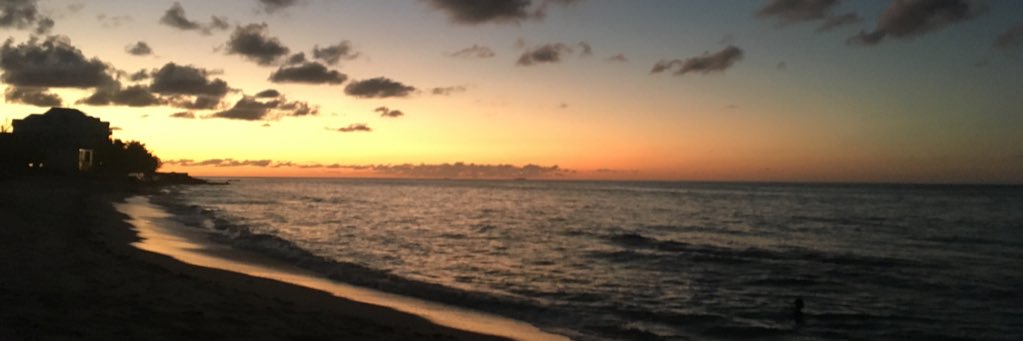sharleen_adele's profile banner image