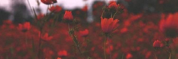 RoriAlabdli's profile banner image