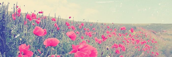 a_218k's profile banner image