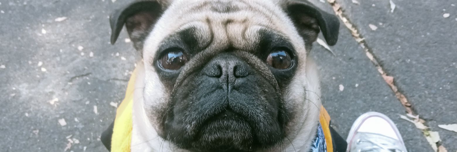 cclaudiadiazz's profile banner image