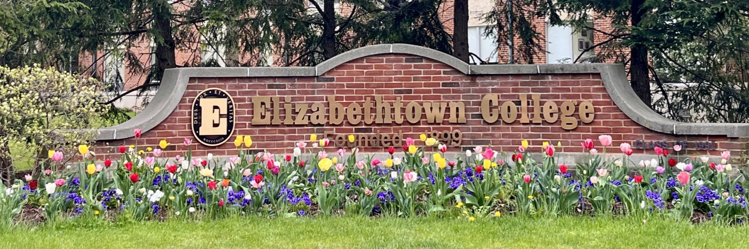 Modern Languages banner