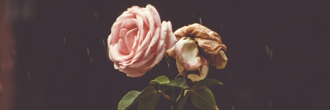 Yerahh_'s profile banner image