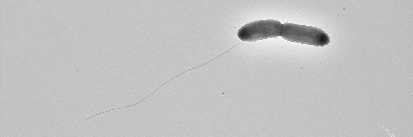 Casey_Scientist's profile banner image