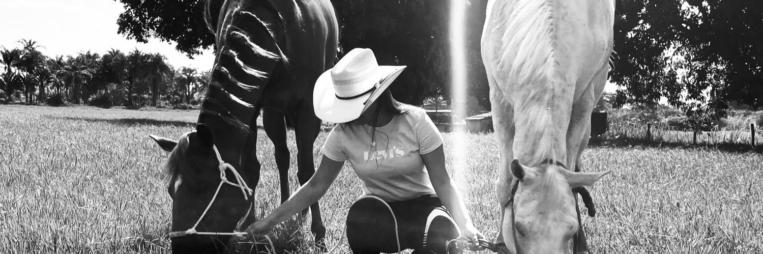 _barbaravt's profile banner image